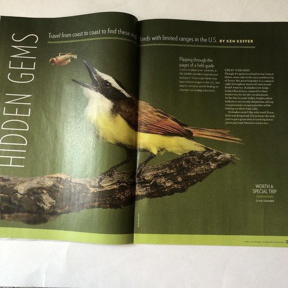 Birds and Blooms Mag March Extra 2023-Finches-Herbs-feeding hacks-ground cover - Picture 7 of 9